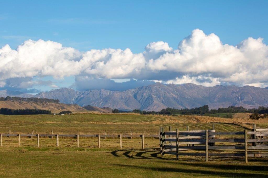 Kepler Oaks Chalet 테아나우 외부 사진